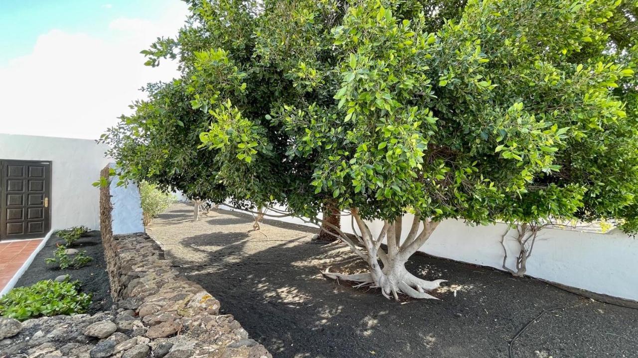 פלאיה בלנקה Villa Estefania מראה חיצוני תמונה